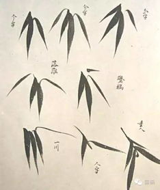 竹叶的足怎么组词啊 竹叶的足怎么组词啊