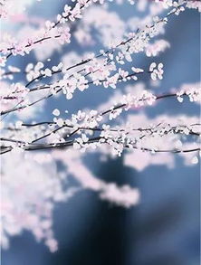 纷飞怎么组词组