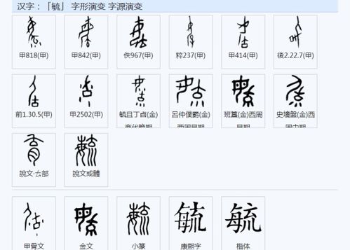 金怎么读组词 金怎么读组词