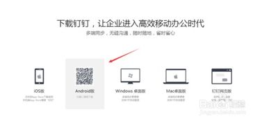 下载钉钉怎么组词
