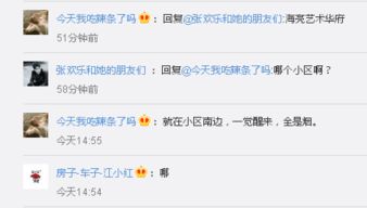 风风疯疯怎么组词 风风疯疯怎么组词