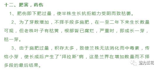 小度叶子怎么组词的 小度叶子怎么组词的