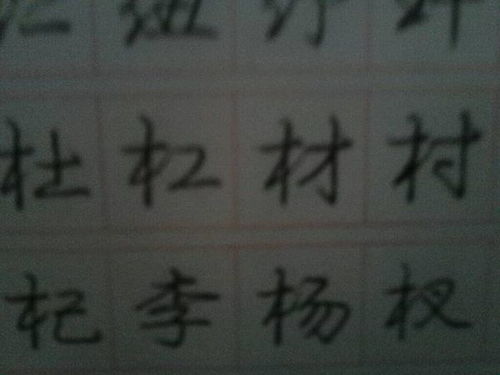 草字旁的路怎么组词呀