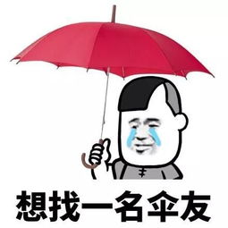 小爱雨伞怎么组词