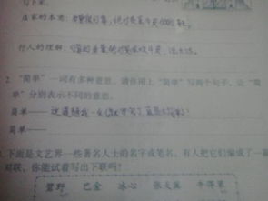 异同的意义怎么组词造句