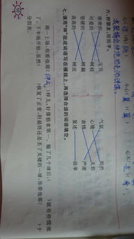 人之初的那个汁怎么组词