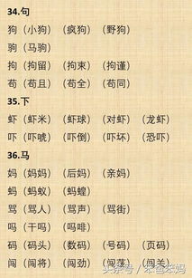 爸字怎么组词