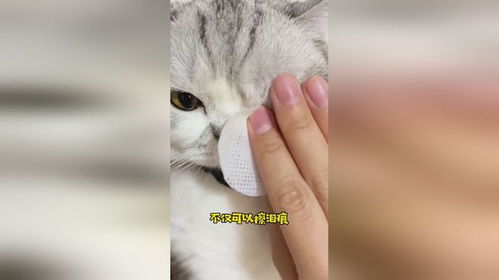 羊的眼怎么组词啊