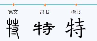 指挥的指征怎么组词