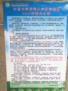 招生的招用部分怎么组词