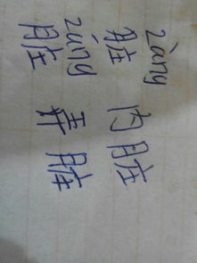 学画是组词吗怎么读