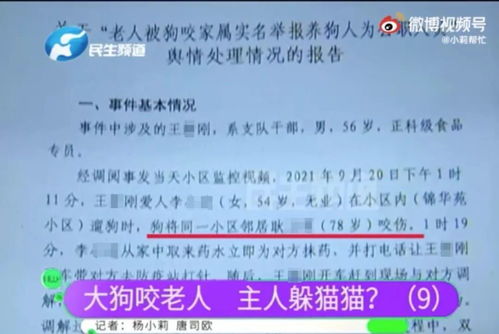 安阳的杨怎么组词呀
