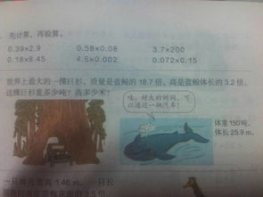 竖式计算的树怎么组词 竖式计算的树怎么组词