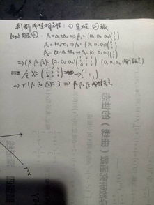 向向的向怎么组词