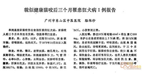 怎么用觅食的觅组词