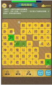 飞翔用成语组词怎么说