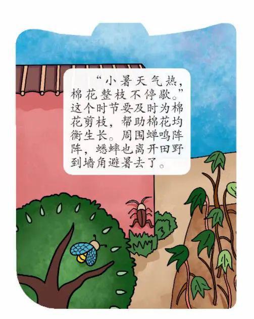 蟋蟀的夕还可以怎么组词