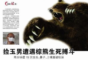 棕熊的钟可以怎么组词