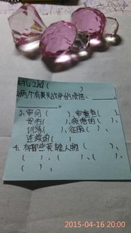适合适的适怎么组词