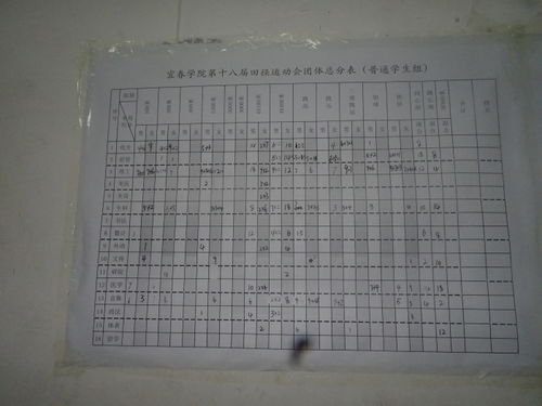 总分那种怎么组词