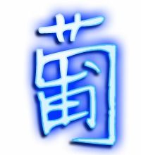 扑面而来的葡怎么组词