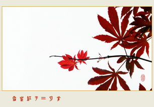 霜叶的叶怎么组词