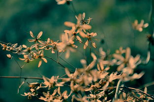 孤单组词 孤单组词