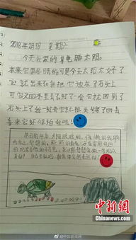 观察日记可以怎么组词