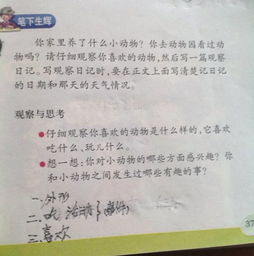 观察日记可以怎么组词