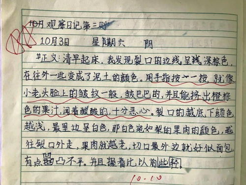 观察日记可以怎么组词