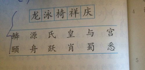 渐的形近字组词