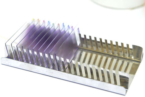 猛在后面怎么组词 猛在后面怎么组词