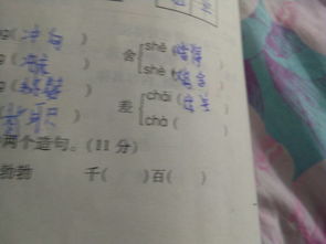 章差怎么组词语