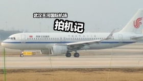 飞机的机怎么组词 飞机的机怎么组词