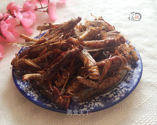 蚂蚱怎么炸的组词