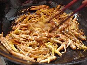 蚂蚱怎么炸的组词