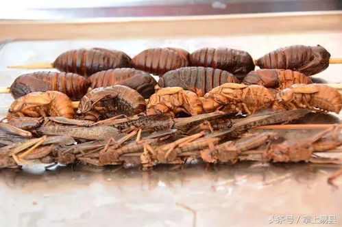 蚂蚱怎么炸的组词