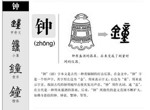 钟表的钟怎么组词