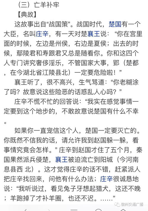 你播的播怎么组词