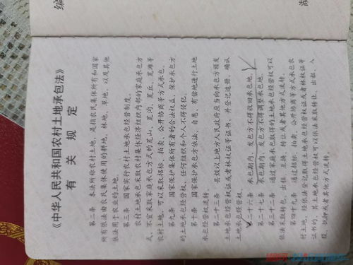 阳的组词 阳的组词