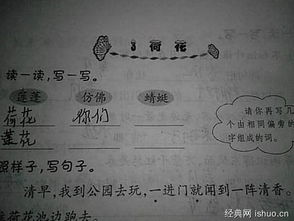 抽组词语 抽组词语