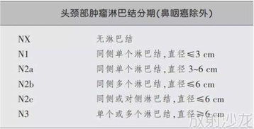 颈组词解释的是怎么组词