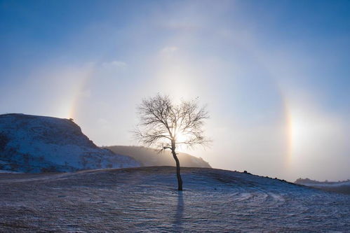 白茫茫马怎么组词