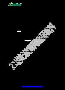 shen什可以怎么组词