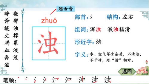 张开的张章怎么组词