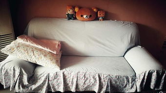 沙发的沙可以怎么组词啊 沙发的沙可以怎么组词啊