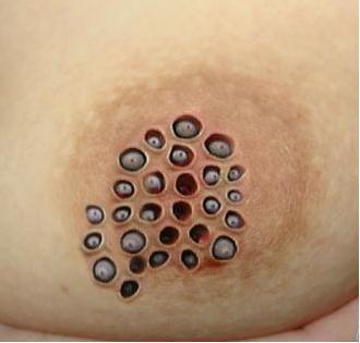 莲蓬的蓬怎么组词