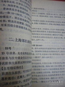 会种的会组词怎么写