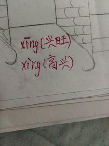 兴是多音字怎么组词 兴是多音字怎么组词