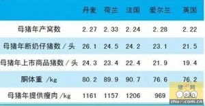 猪网的网怎么组词